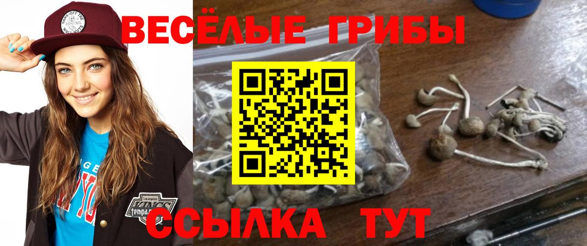 Псилоцибиновые грибы Magic Shrooms  Вход с VPN  Псилоцибиновые грибы Cubensis  Ессентуки 